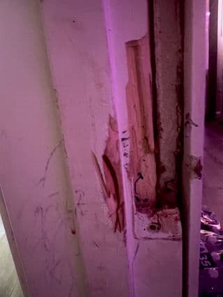 Omega Doors and Locks completed project photo 37: 320 (20)